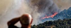 Un hombre contempla un incendio forestal declarado en el término municipal de Navaluenga (Ávila), el pasado viernes. EFE/ Raúl Sanchidrián Un hombre contempla un incendio forestal declarado en el término municipal de Navaluenga (Ávila), el pasado viernes. EFE/ Raúl Sanchidrián