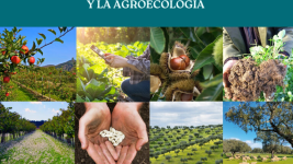 Folleto programa