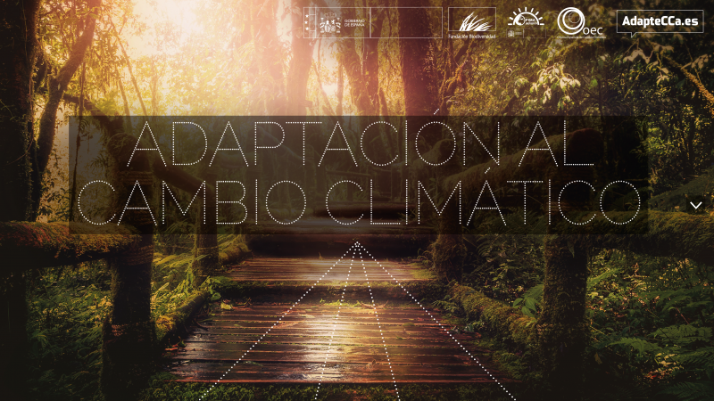 climate change adaptation