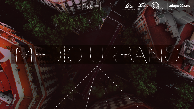 urban environment